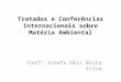 Tratados e Conferências Internacionais sobre Matéria Ambiental