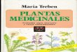 Vlpw Botanica Etnobotanica Libro Guia Plantas Medicinales Treben Blume