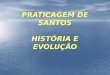 Fabio Mello Historia Da Praticagem de Santos