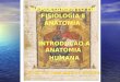 1ª Aula Introduão da Anatomia Humana DEPARTAMENTO DE FISIOLOGIA E ANATOMIA