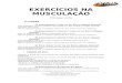 Exercicios Na Musculacao