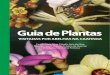Guia de Plantas [Caatinga]