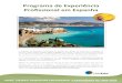 Estagios VidaEdu Programa de Experiencia Profissional Em Espanha Estagio