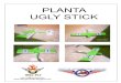 Planta Ugly Stick