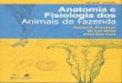 Anatomia e Fisiologia Dos Animais de Fazenda