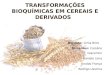 TRANSFORMAÇÕES BIOQUÍMICAS EM CEREAIS E DERIVADOS