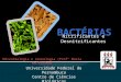 bactérias nitrificantes e desnitrificantes