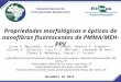 Propriedades morfológicas e ópticas de nanofibras de PMMA/MEH-PPV