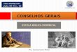 CONSELHOS GERAIS  - LIÇÃO 06 - EBD