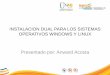 Sistema dual WIndows * Linux
