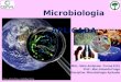 Microbiologia aplicada aula08 fisiologia