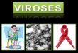 B1   viroses