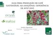 Guia para produção de Café Sustentável na Amazônia, por Vinícius Figueiredo