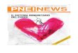 Pnei News 4 Del 2015 Prime 7 Pp