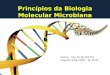 9201_Principios da Genetica Microbiana.ppt