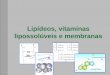 02 - LipÃdeos, vitaminas liposoluveis e membranas