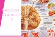 Anatomia Expo de Nervioscraneales-101119140800-Phpapp01 [Autoguardado]