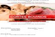 Cortes Bovinos