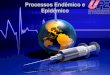 Processos Endêmico e Epidêmico