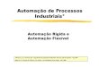 Automacao Automação de Processos Industriais