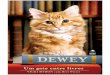 Dewey Um Gato Entre Livros - Vicki Myron
