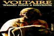 Tratado Sobre a Tolerancia - Voltaire