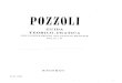 Pozzoli - Guia Prático-teórico Partes III e IV