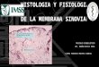 Histologia y Fisiologia de La Membrana Sinovial