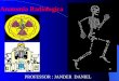 Anatomia Radiologica - posicionamento