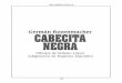 Historieta de Cabecita Negra, Rozenmacher.pdf