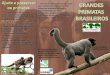 Grandes Primatas Brasileiros