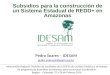 Pedro Soares – IDESAM pedro.soares@idesam.org.br Intercambio Regional: Revisión de resultados de la COP19 de cambio climático y del estado de programas