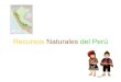 Recursos Naturales del Perú. RECURSOS DEL MAR PERUANO