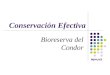 MJM-JVS Conservación Efectiva Bioreserva del Condor