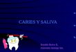 CARIES Y SALIVA Daniela Bravo K. Antonieta Astorga Sm