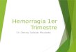 Hemorragia 1er Trimestre Dr. Danny Salazar Pousada
