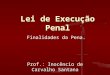 Lei de Execução Penal