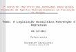 Tema: A Legislação Brasileira:Prevenção e Repressão 01/12/2011 Palestrante Ubyratan Cavalcanti