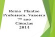 Reino  Plantae Professora: Vanesca 7º ano Ciências 2014