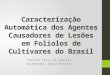 Caracterização Automática dos Agentes Causadores de Lesões em Folíolos de Cultivares do Brasil