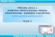 PROAB 2012.1 DIREITO  PROCESSUAL PENAL PROFESSOR: SANDRO CALDEIRA sandrocaldeira Aula 1