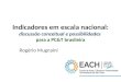 Indicadores em escala nacional: discussão conceitual e possibilidades  para a  PC&T  brasileira