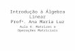 Introdução à Álgebra Linear Prof a . Ana Maria Luz