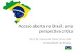 Acesso aberto no Brasil: uma perspectiva crítica