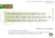 Avaliação emergética do ciclo de vida da produção de biodiesel de soja no Brasil