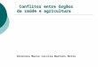 Conflitos entre órgãos  da saúde e agricultura Diretora Maria Cecília Martins Brito