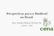 Perspectivas para o Biodiesel no Brasil