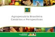 Agropecuria Brasileira Cenrios e Perspectivas