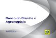 Banco do Brasil e o Agronegócio Janeiro 2012