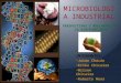 MICROBIOLOGIA INDUSTRIAL